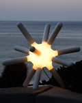 Charles Module