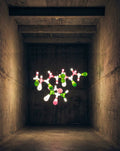 Genetic Module