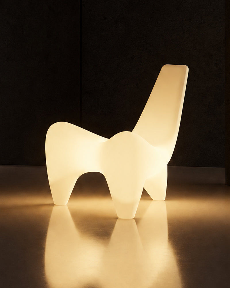 SPIDLIGHT